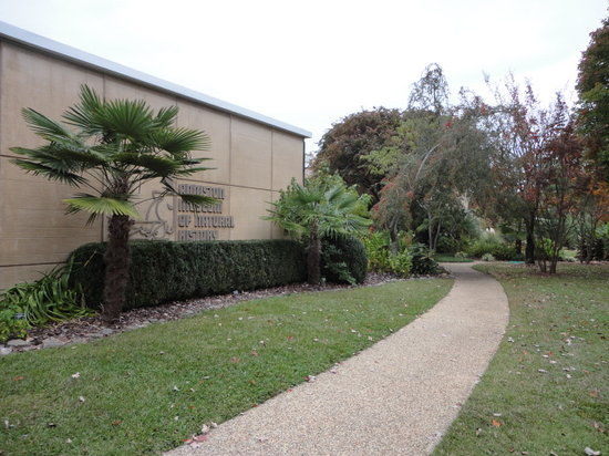 Anniston Museum of Natural History